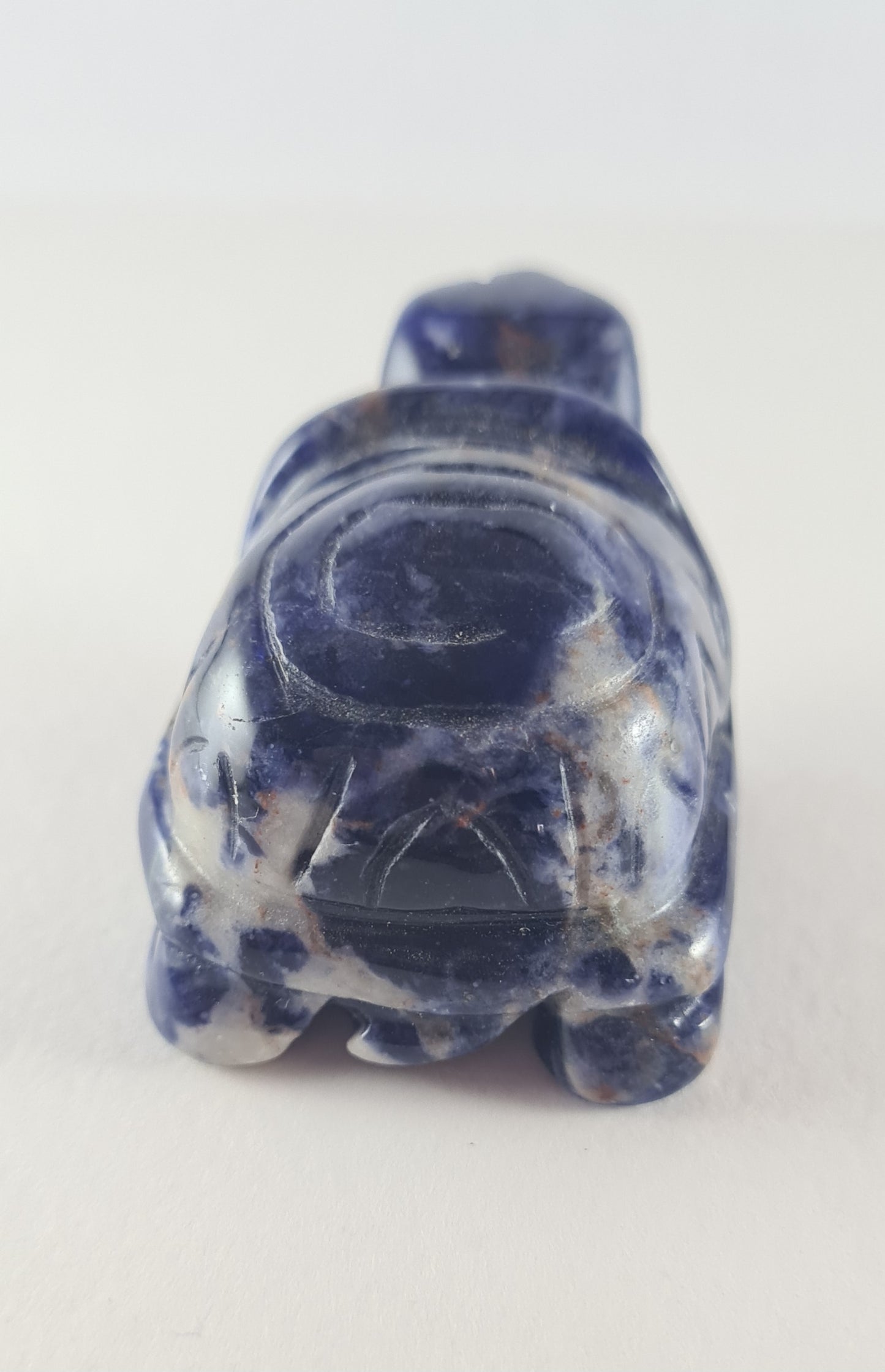 Figurine Tortue Sodalite n°15