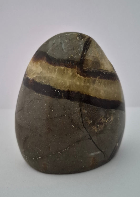 Forme libre Septaria 8,5cm / n°57