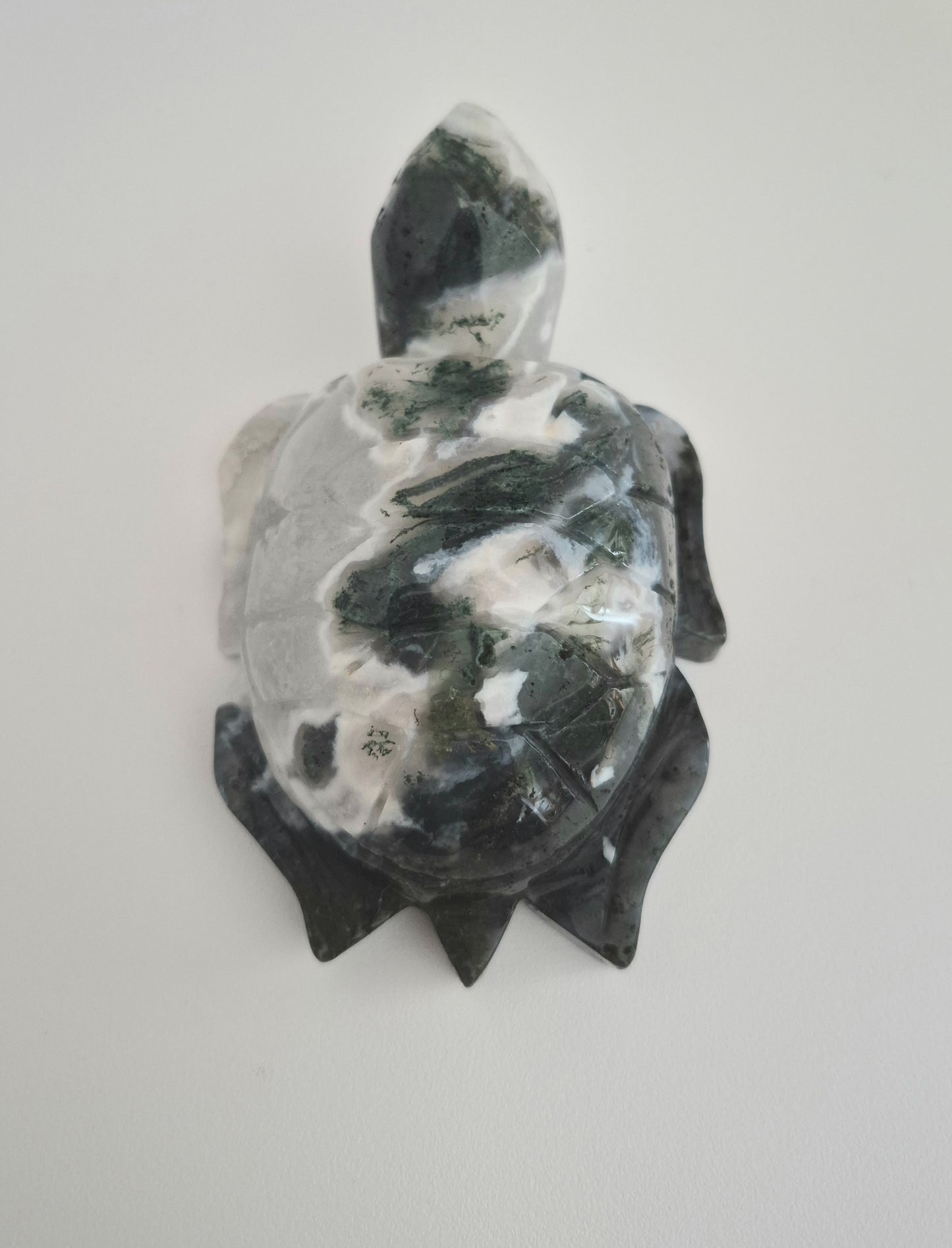 Tortue Agate mousse / n°116