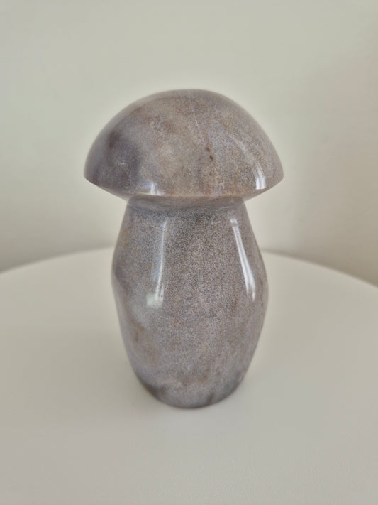 Champignon Jaspe océan n°124