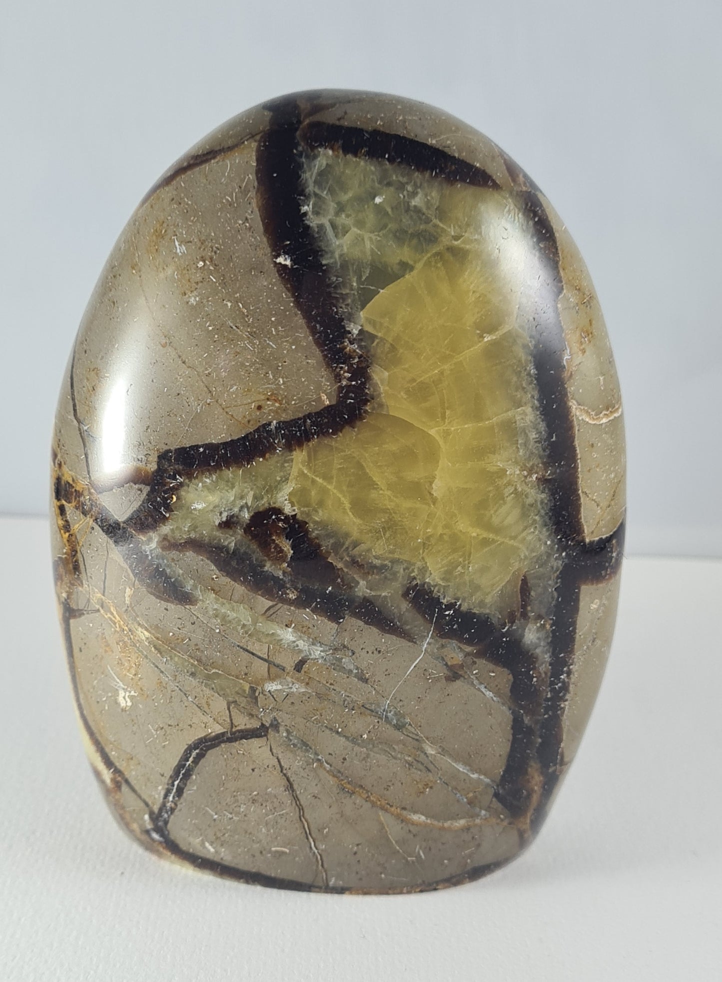 Forme libre Septaria n°23