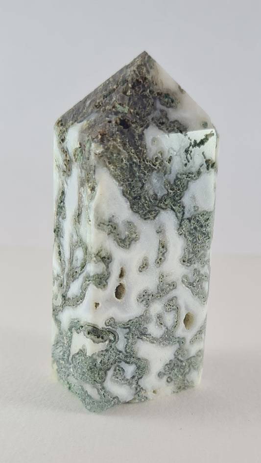Pointe polie Agate arbre n°56