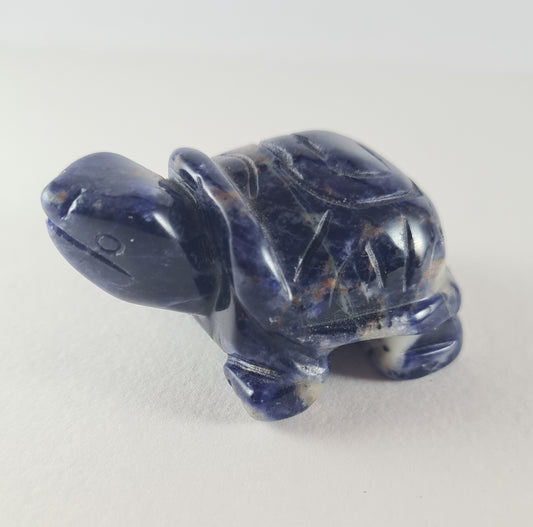 Figurine Tortue Sodalite n°15