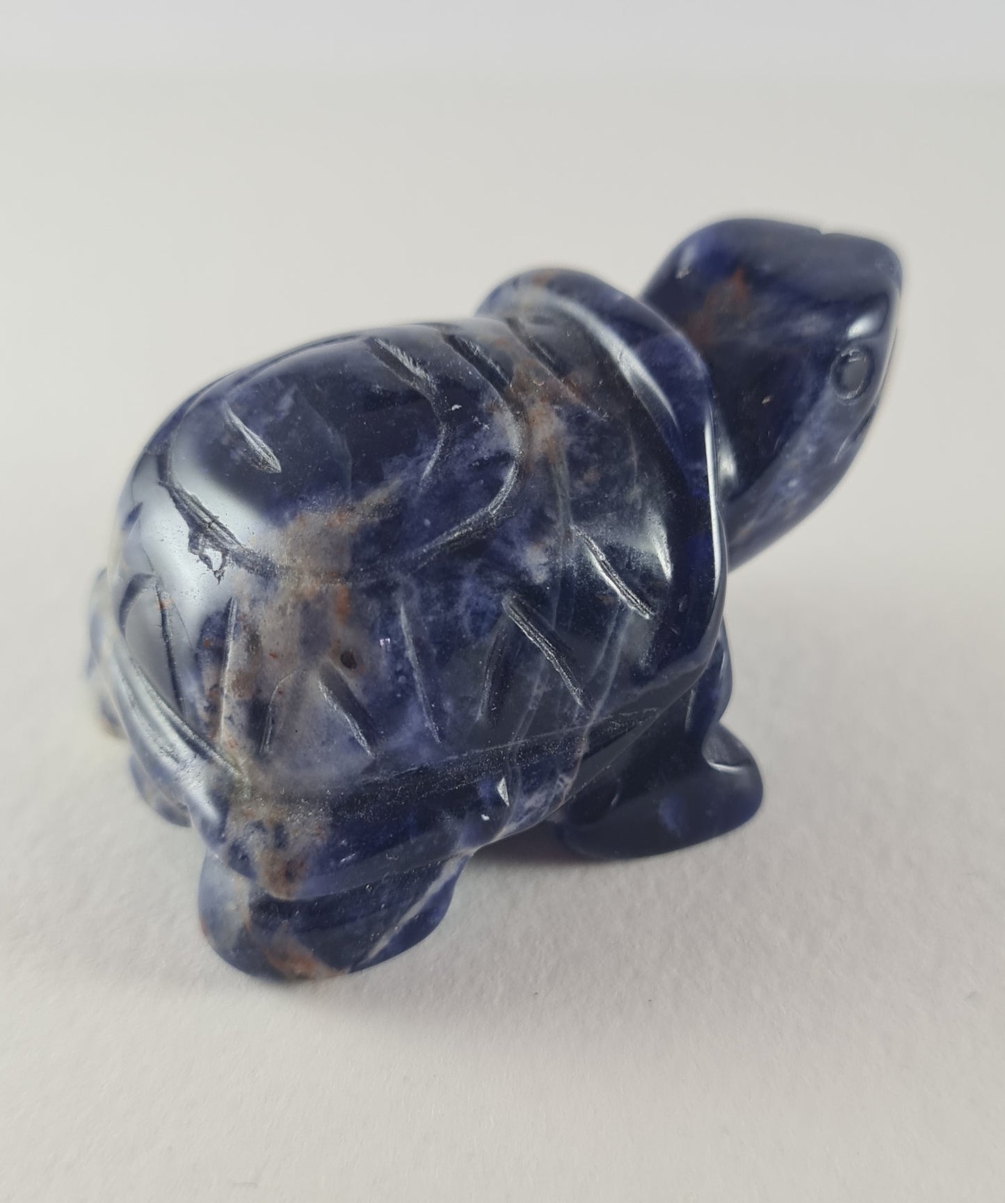 Figurine Tortue Sodalite n°15