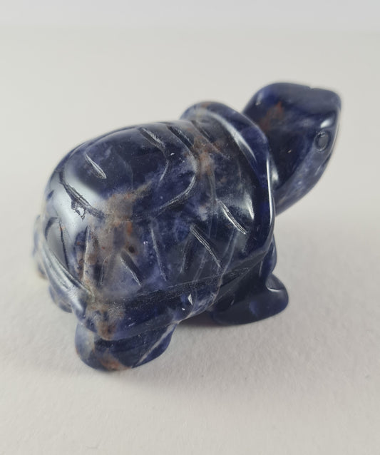Figurine Tortue Sodalite n°15