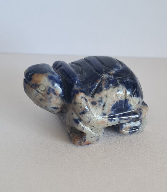 Figurine Tortue Sodalite n°26