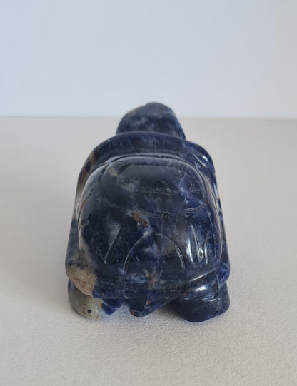 Figurine Tortue Sodalite / n°95