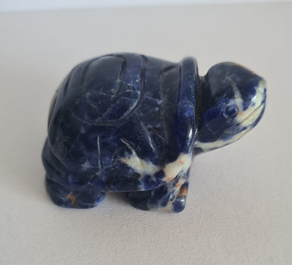 Figurine Tortue Sodalite / n°95