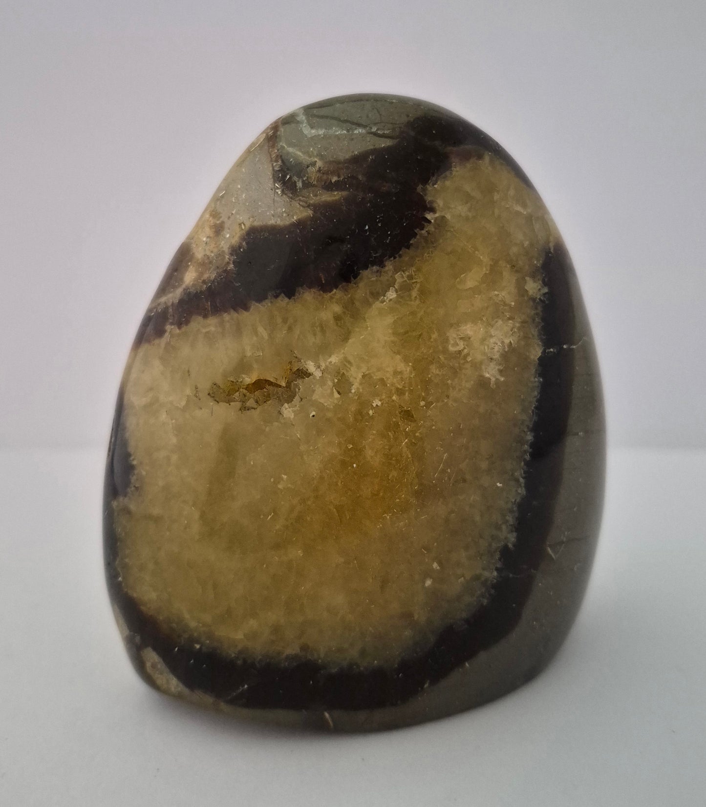 Forme libre Septaria 8,5cm / n°57