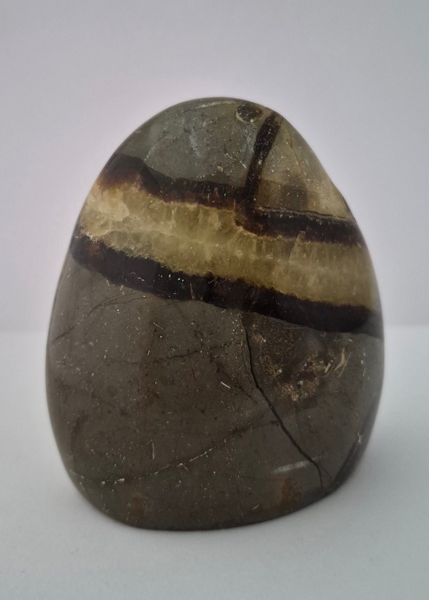 Forme libre Septaria 8,5cm / n°57