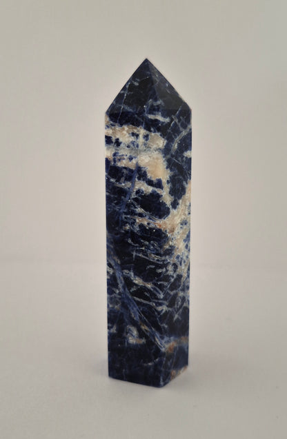 Pointe Tour polie en Sodalite 8cm / n°26