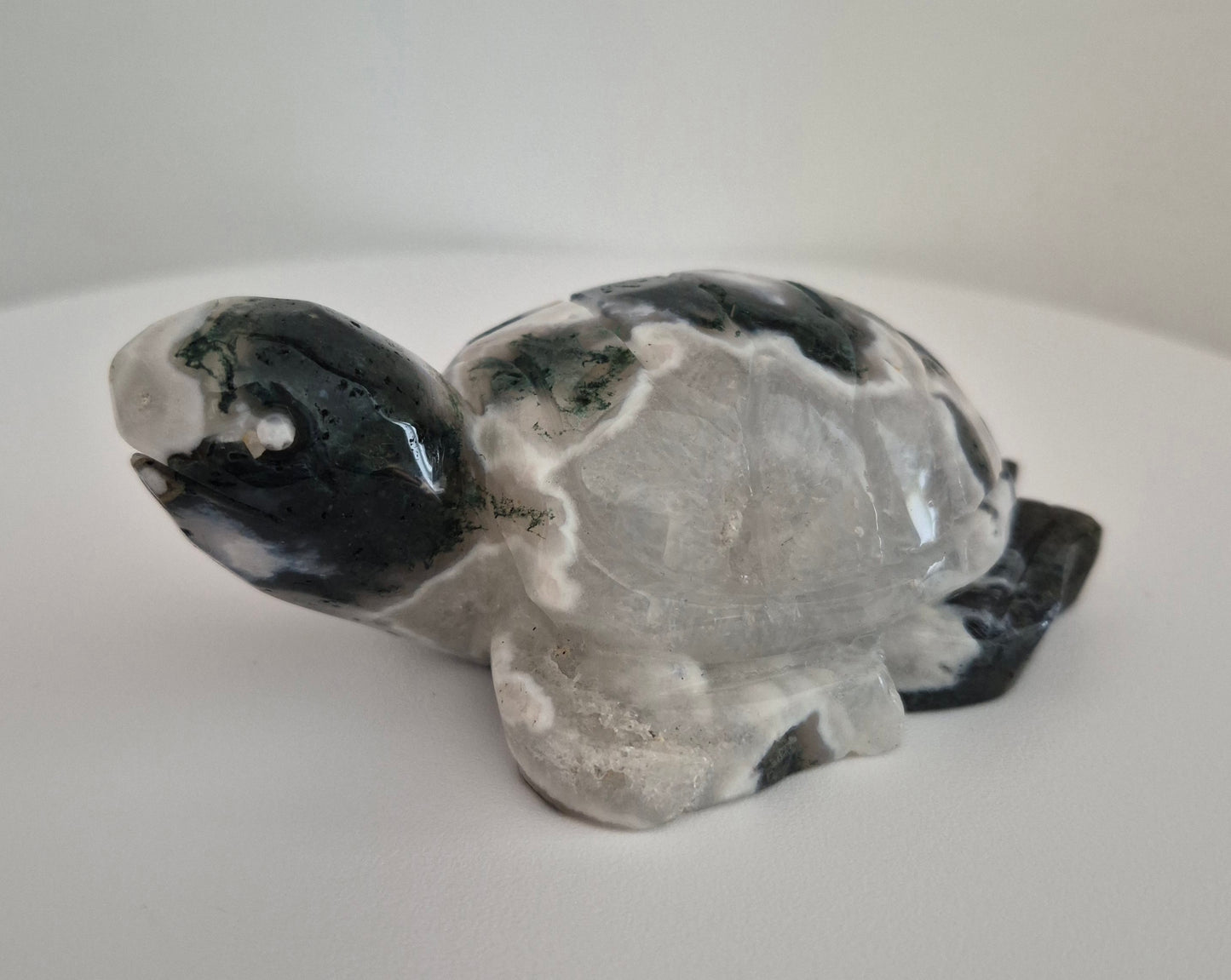 Tortue Agate mousse / n°116