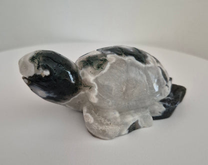 Tortue Agate mousse / n°116