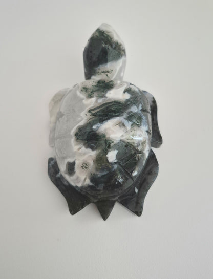 Tortue Agate mousse / n°116