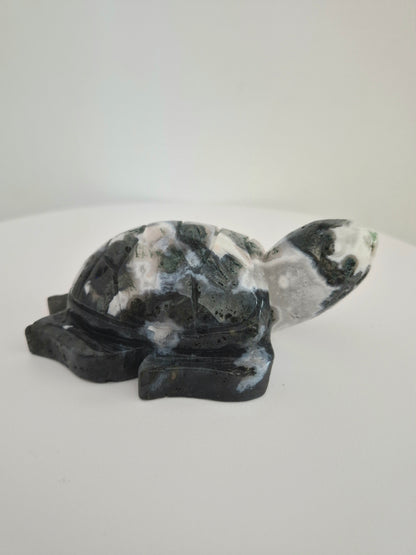 Tortue Agate mousse / n°116