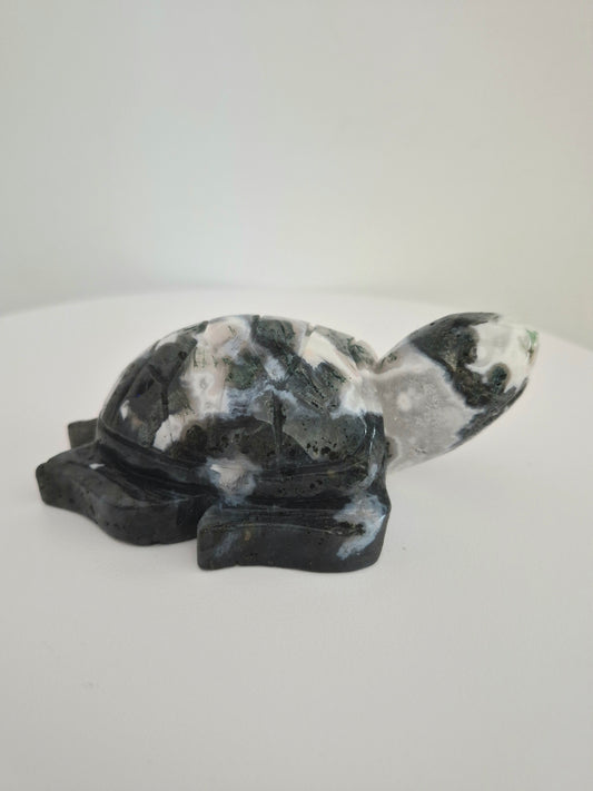 Tortue Agate mousse / n°116