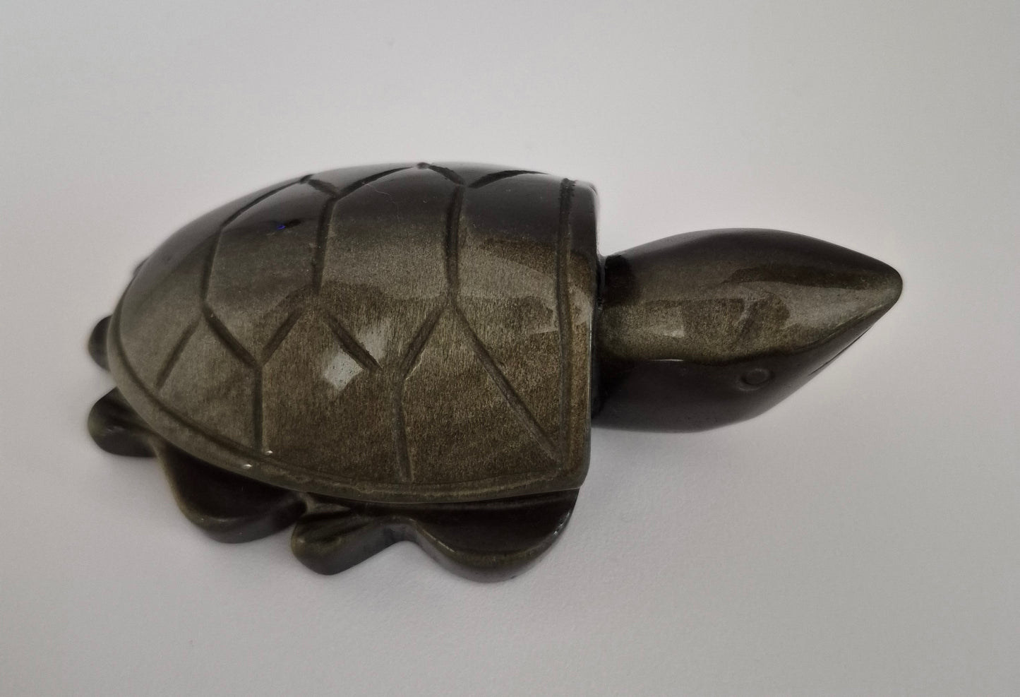 Tortue Obsidienne doré / n°122