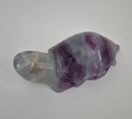 Tortue Fluorite n°114