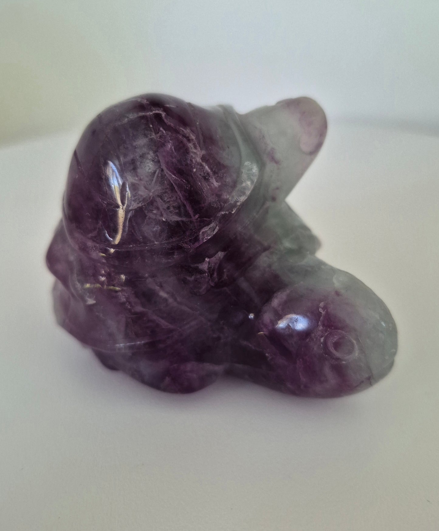 Tortue duo Fluorite n°115