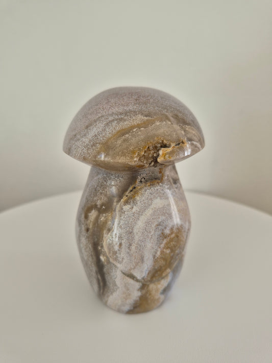 Champignon Jaspe océan n°124
