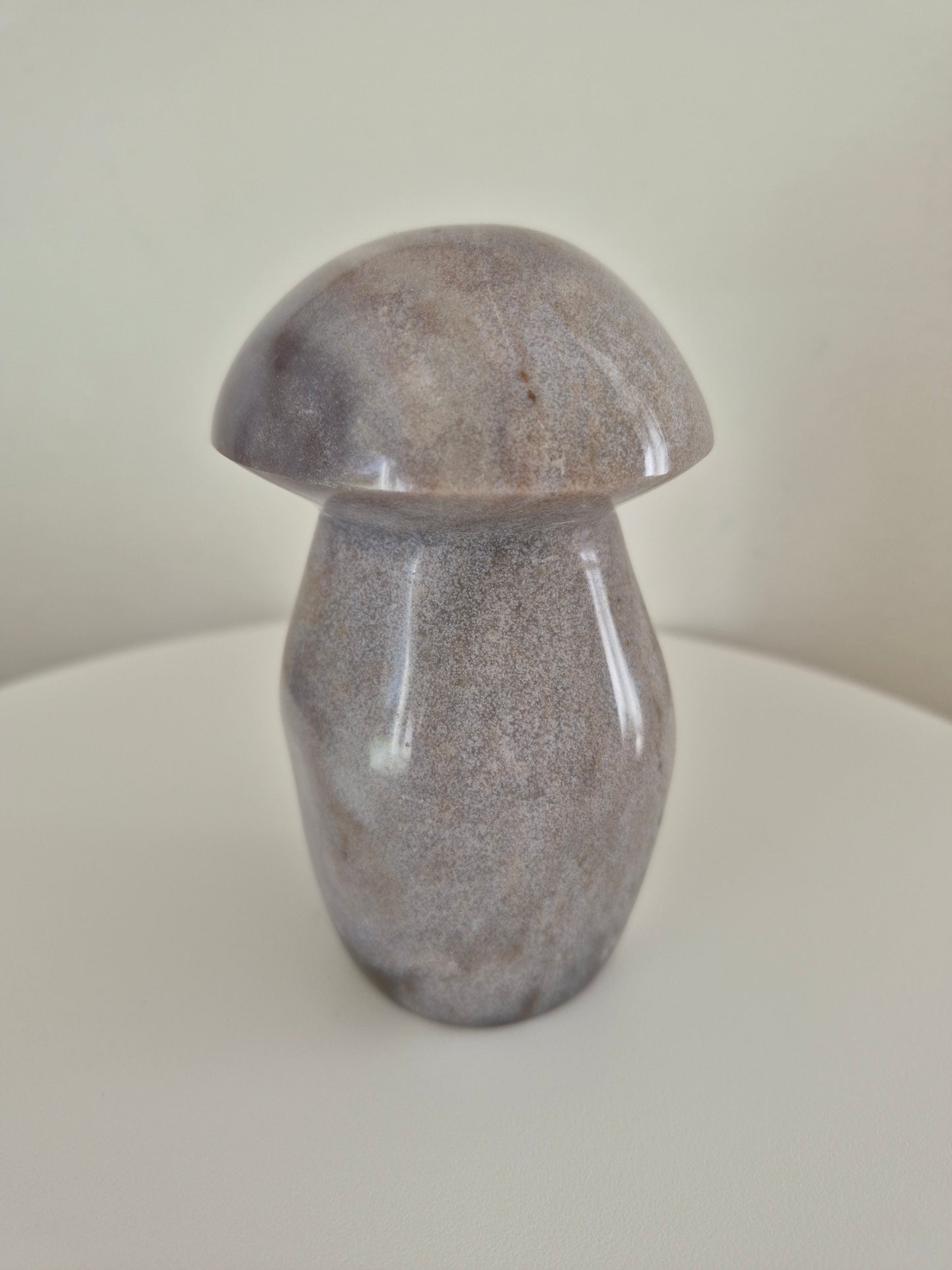 Champignon Jaspe océan n°124