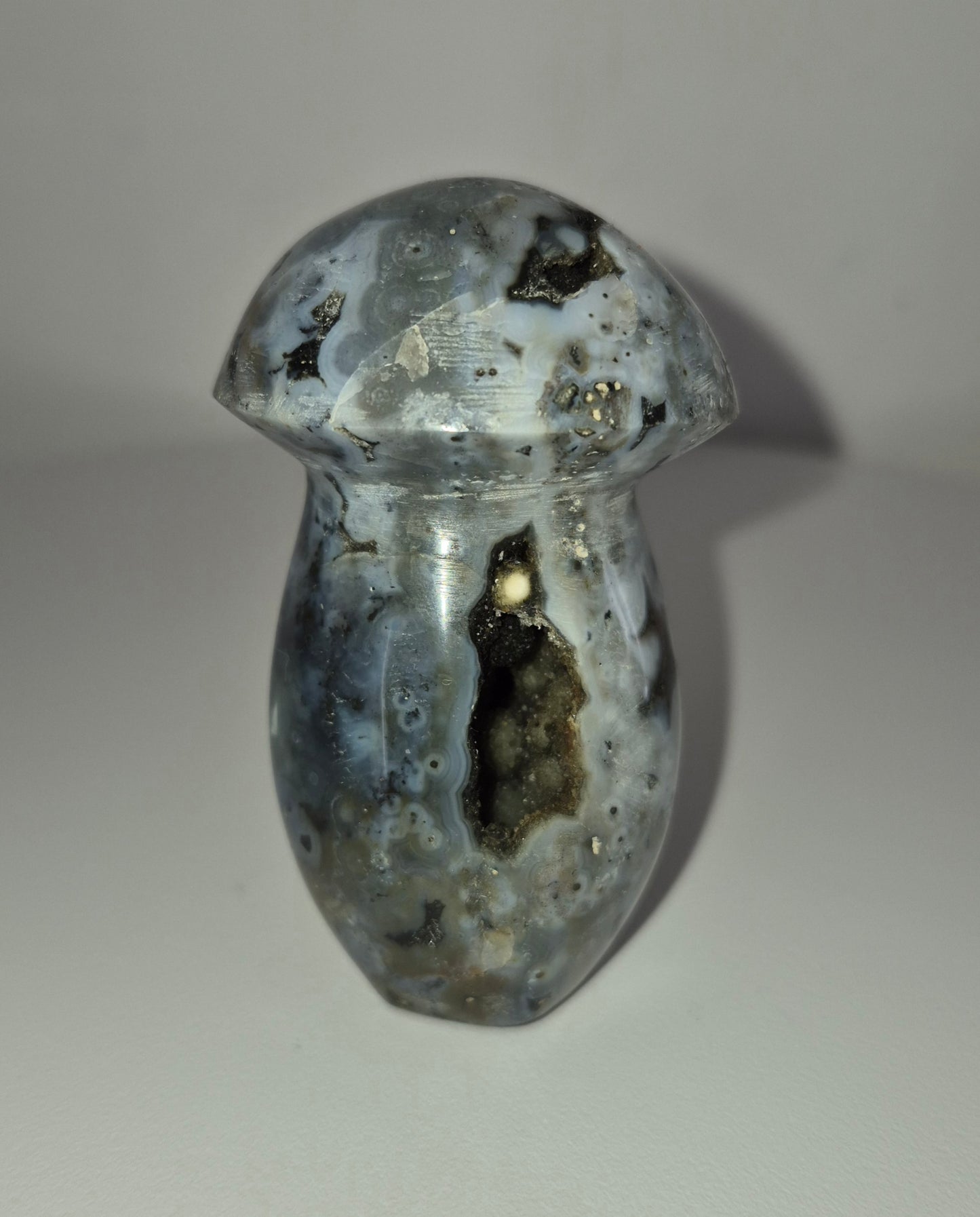 Champignon Jaspe océan n°143