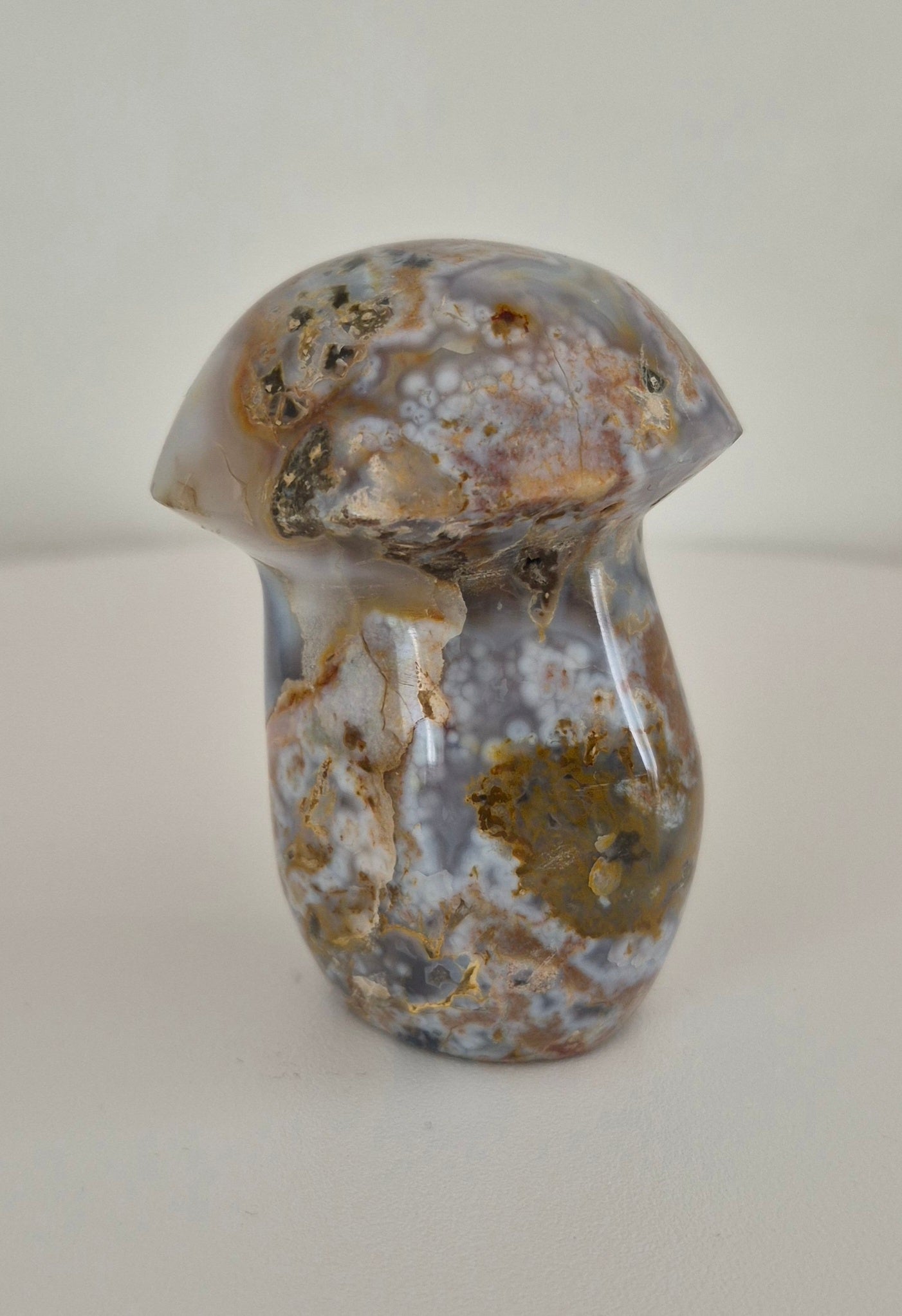 Champignon Jaspe océan n°127