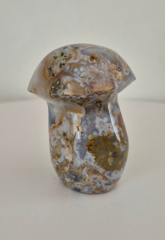Champignon Jaspe océan n°127