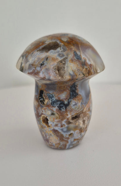 Champignon Jaspe océan n°127
