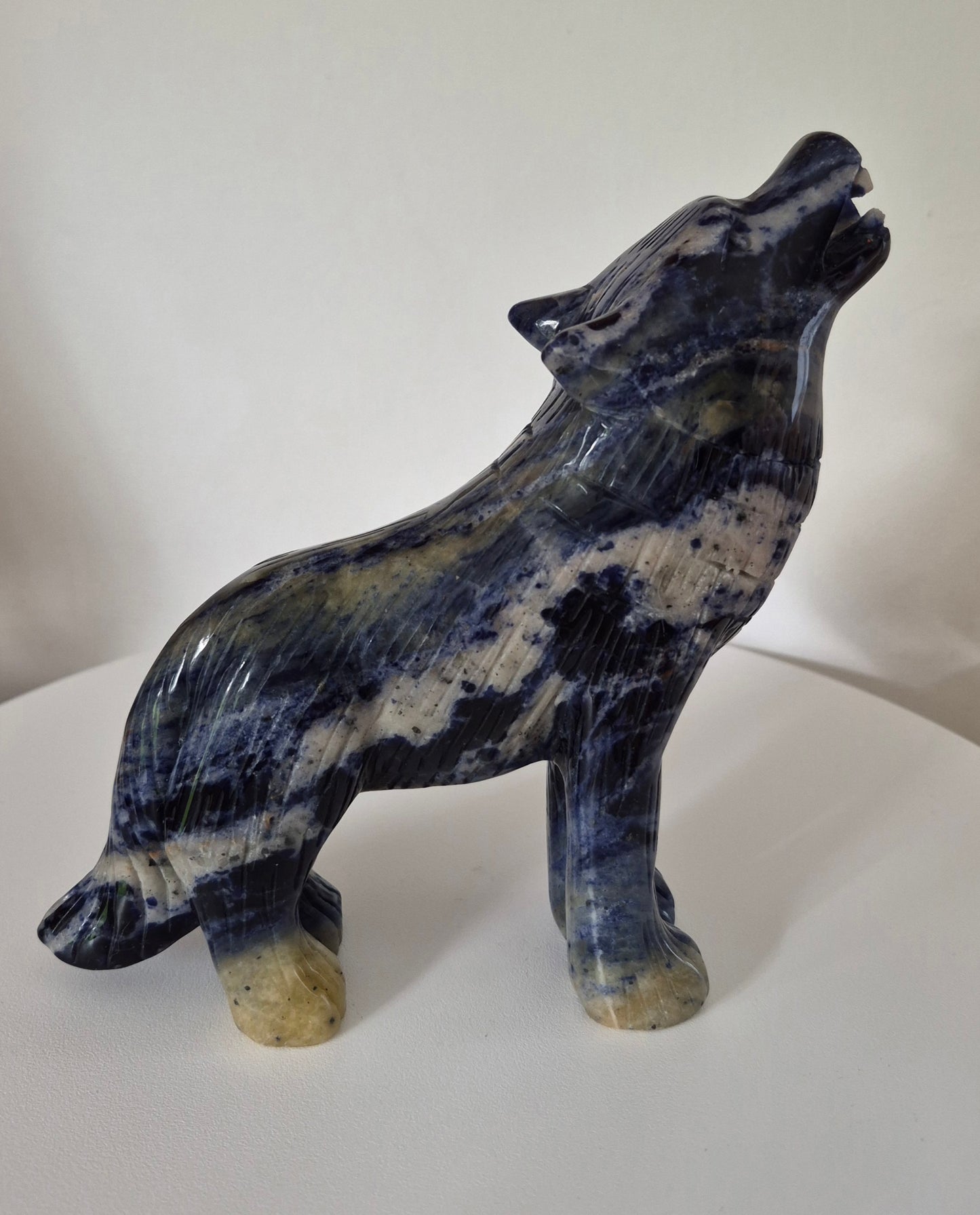 Loup en Sodalite n°134