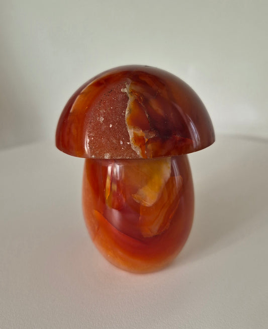 Champignon en Cornaline druse n°136