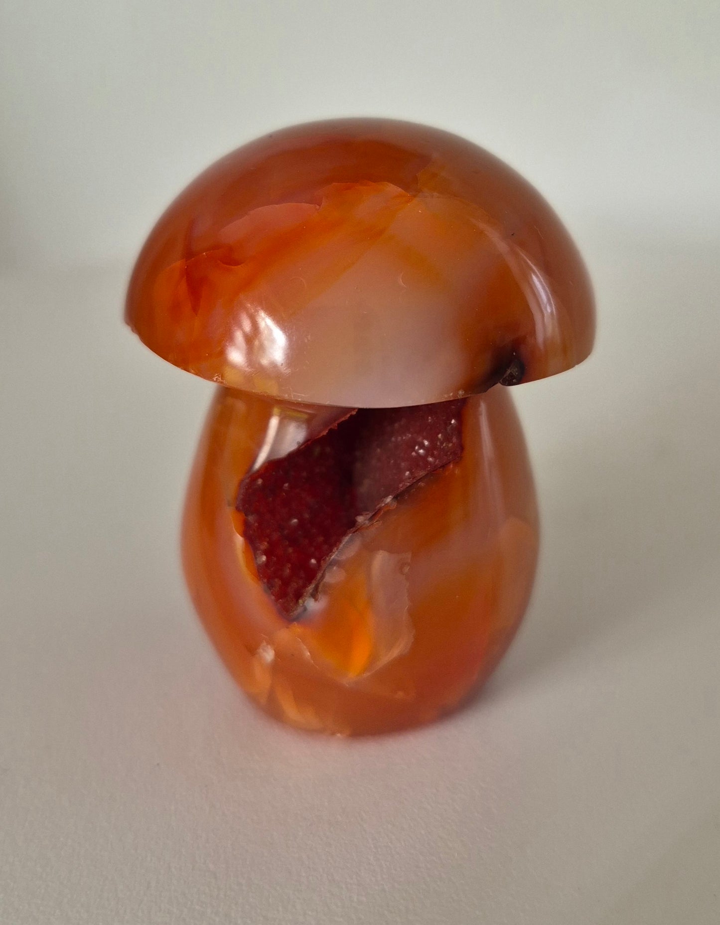 Champignon en Cornaline druse n°137