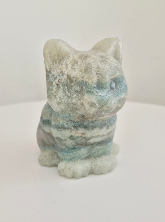 Chat en Calcite Caraïbes n°145