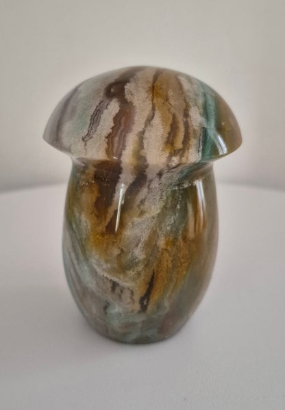 Champignon Jaspe Océan n°157