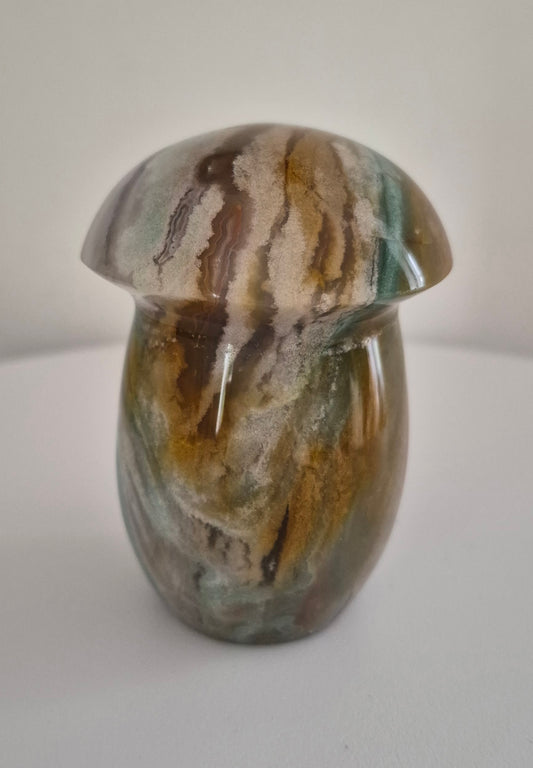 Champignon Jaspe Océan n°157