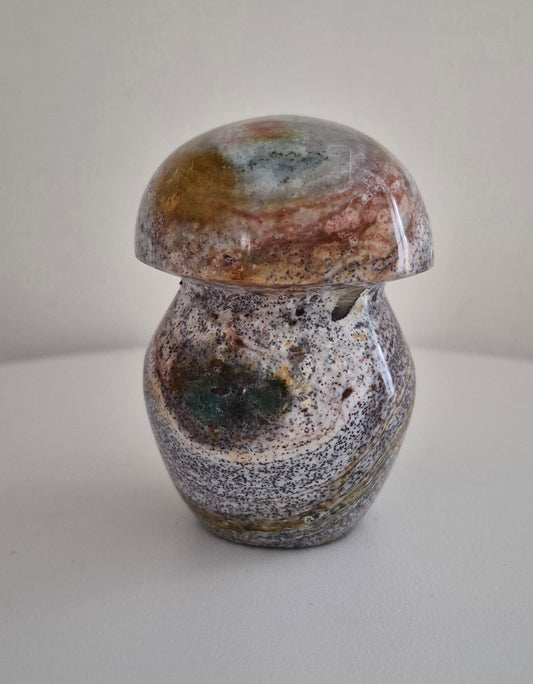 Champignon Jaspe océan n°162