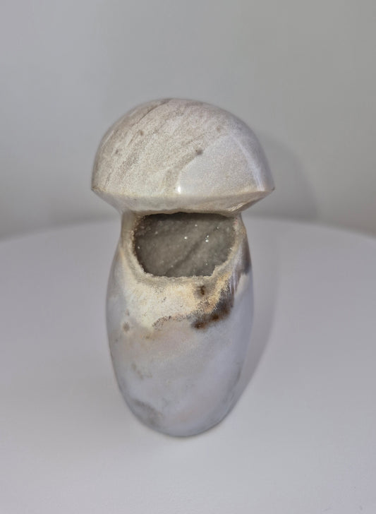 Champignon Jaspe océan n°159