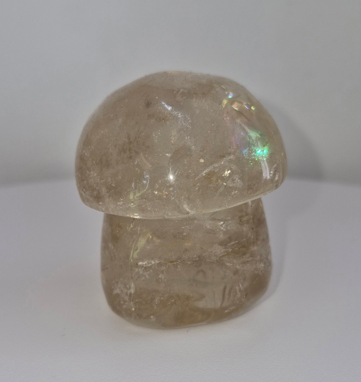 Champignon Quartz fumé n°161