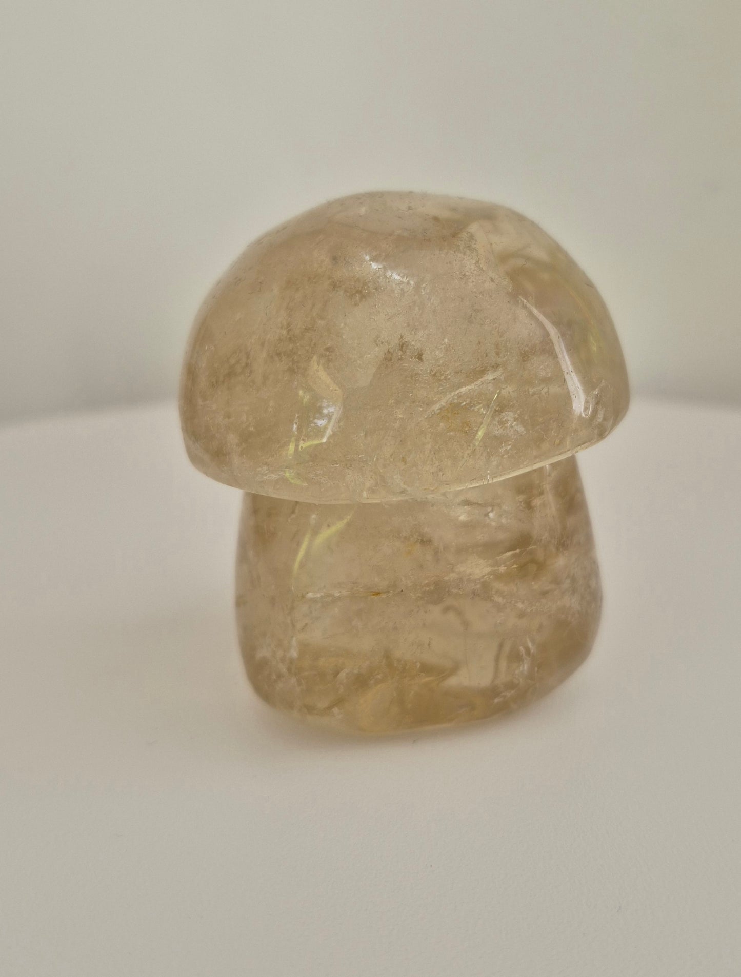 Champignon Quartz fumé n°161