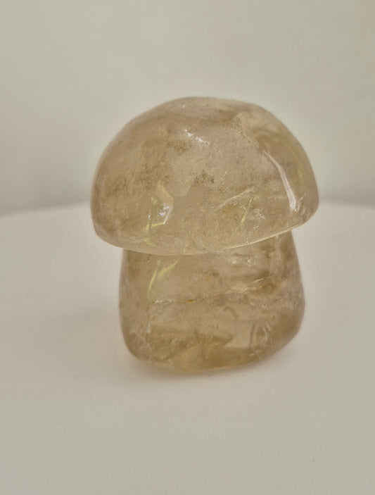 Champignon Quartz fumé n°161