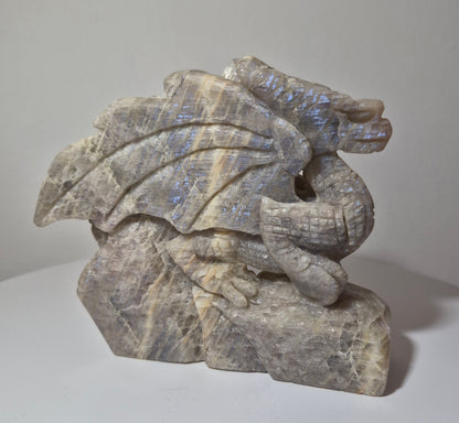 Dragon Pierre de lune n°164