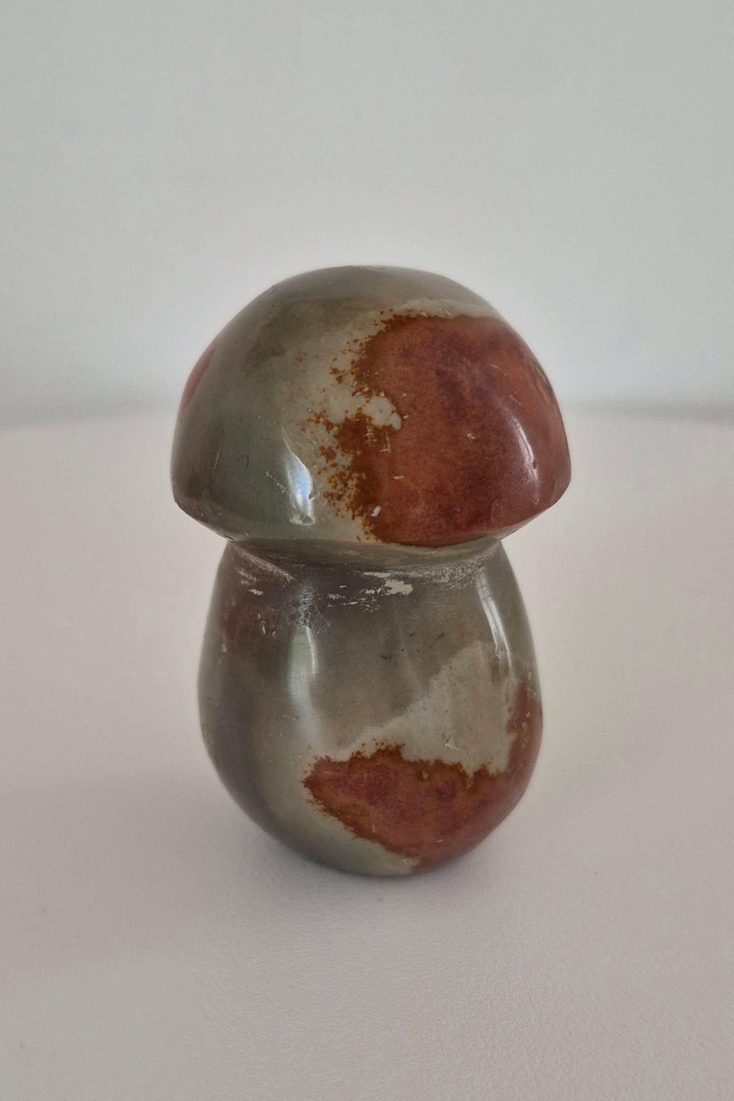 Champignon en Jaspe polychrome n°144