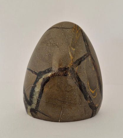 Forme libre Septaria 10cm / N°61