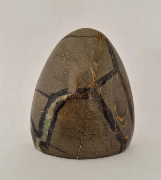 Forme libre Septaria 10cm / N°61