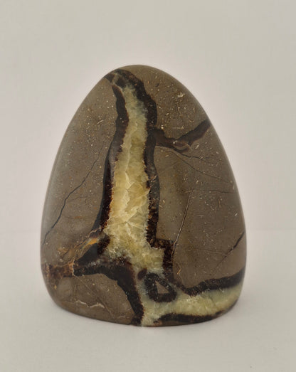 Forme libre Septaria 10cm / N°61