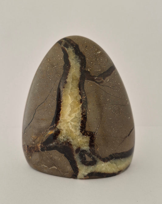 Forme libre Septaria 10cm / N°61