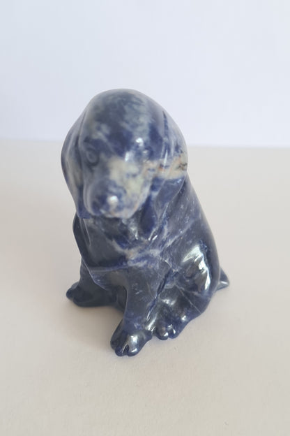Figurine Chien Sodalite n°100