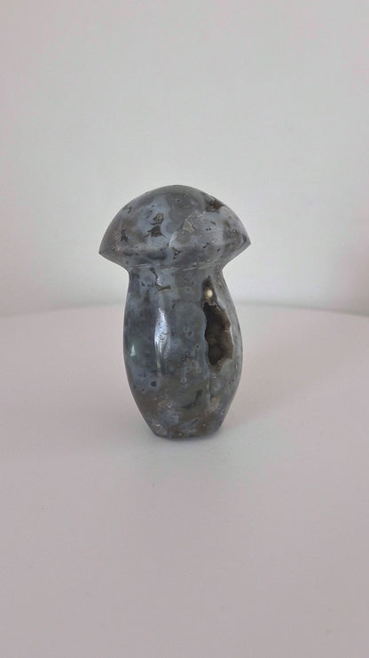 Champignon Jaspe océan n°143
