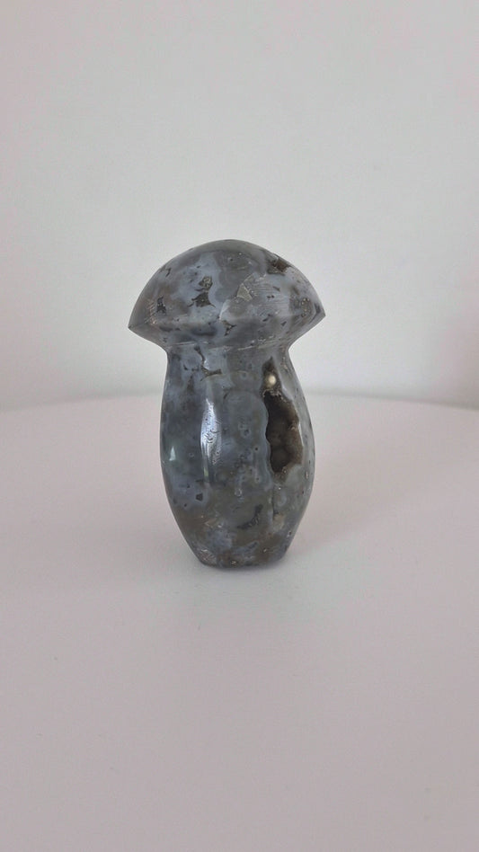 Champignon Jaspe océan n°143