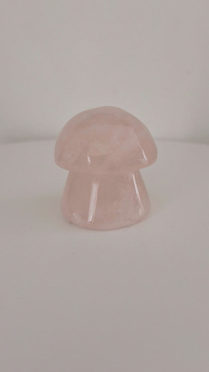 Champignon Quartz rose n°129